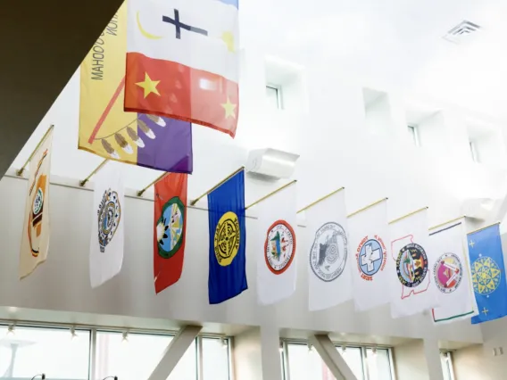 Flags lined up on a wall