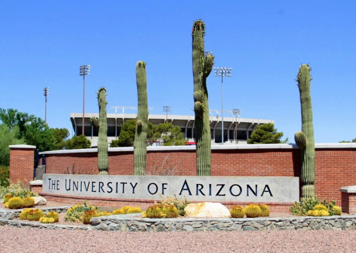 Cacti in front of the University of Arizona sign.